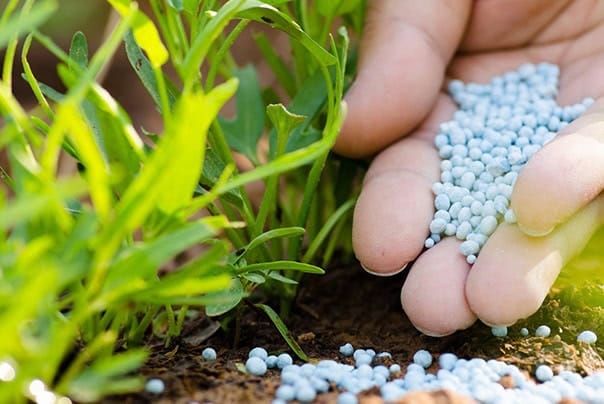 Agricultural Fertilzer 13