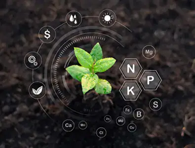 Agricultural Fertilzer 323_1